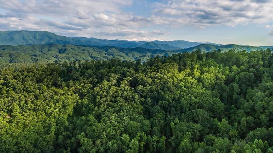 View! Private! Hot Tub,Pool Table,Fireplace,Relax! Sevierville Εξωτερικό φωτογραφία